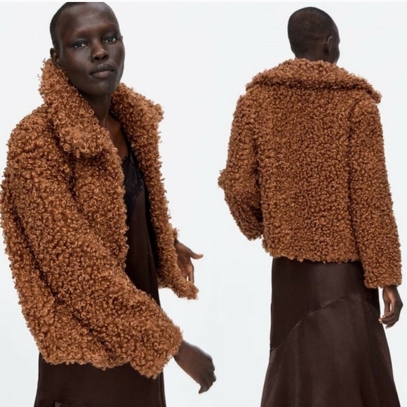 Zara Blogger Brown Teddy Curly Faux Fur Coat